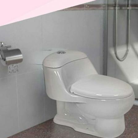 نمایندگی توالت فرنگی ترکیه ای در اصفهان
