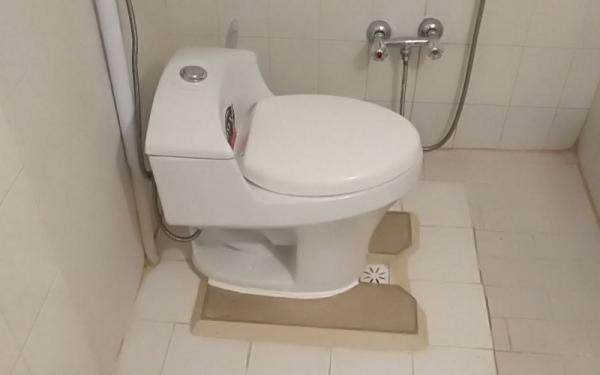 روش های تهیه توالت فرنگی در طرح های متنوع